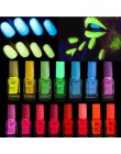 20 kolorów cukierki Nail Art Luminous farba lakier do paznokci Neon lakier do paznokci Luminous fluorescencyjny żel do paznokci 