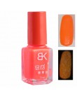 20 kolorów cukierki Nail Art Luminous farba lakier do paznokci Neon lakier do paznokci Luminous fluorescencyjny żel do paznokci 