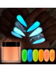 RIKONKA 10ML blask w ciemności nail art zanurzenie w proszku neonowy fosforyzujący proszek akrylowy do przedłużania rzeźbienia l