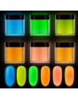 RIKONKA 10ML blask w ciemności nail art zanurzenie w proszku neonowy fosforyzujący proszek akrylowy do przedłużania rzeźbienia l