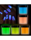 RIKONKA 10ML blask w ciemności nail art zanurzenie w proszku neonowy fosforyzujący proszek akrylowy do przedłużania rzeźbienia l