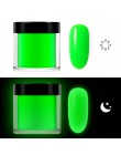 RIKONKA 10ML blask w ciemności nail art zanurzenie w proszku neonowy fosforyzujący proszek akrylowy do przedłużania rzeźbienia l