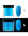 RIKONKA 10ML blask w ciemności nail art zanurzenie w proszku neonowy fosforyzujący proszek akrylowy do przedłużania rzeźbienia l