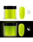 RIKONKA 10ML blask w ciemności nail art zanurzenie w proszku neonowy fosforyzujący proszek akrylowy do przedłużania rzeźbienia l