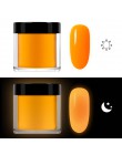 RIKONKA 10ML blask w ciemności nail art zanurzenie w proszku neonowy fosforyzujący proszek akrylowy do przedłużania rzeźbienia l