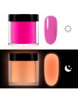 RIKONKA 10ML blask w ciemności nail art zanurzenie w proszku neonowy fosforyzujący proszek akrylowy do przedłużania rzeźbienia l
