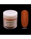 10ml pigmentowany nowy nabytek proszek do zanurzania Nail Art akrylowy francuski proszek do zanurzania zestaw do organizacji Top