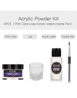 ROSALIND proszek akrylowy żel do paznokci Poly do paznokci przezroczysty akrylowy zestaw do paznokci zestaw Glitter Powder pazno
