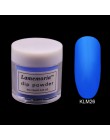 10ml pigmentowany nowy nabytek proszek do zanurzania Nail Art akrylowy francuski proszek do zanurzania zestaw do organizacji Top