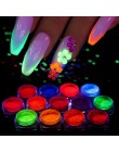 1box fluorescencyjny proszek pigmentowy Nail Art Glitter kolorowe Luminous zanurzenie Neon Flake żel pył DIY polski dekory BEYE0