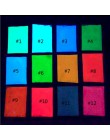 10g świecące w ciemności proszek luminescencyjny pigment wysokiej jasności luminescencyjny proszek, świecące w ciemności Pigment