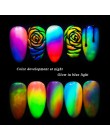 1box fluorescencyjny proszek pigmentowy Nail Art Glitter kolorowe Luminous zanurzenie Neon Flake żel pył DIY polski dekory BEYE0