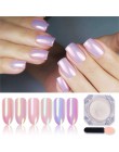 1 Box Mirror Glitter lakier do paznokci chromowany proszek pigmentowy DIY Salon proszek Neon zdobienie paznokci dekoracje dekora