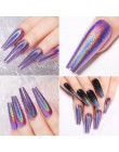 0.3g metaliczne paznokcie brokat lustro w proszku 12 kolorów srebrny Metal efekt srebrny paznokci pył żel UV Pigment Nail Art De