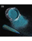 Brokatowy, holograficzny pyłek do paznokci laserowe zanurzenie cekiny Pigment Nail Art gradientowe lustro chrom pył błyszczący p