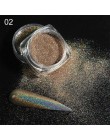Brokatowy, holograficzny pyłek do paznokci laserowe zanurzenie cekiny Pigment Nail Art gradientowe lustro chrom pył błyszczący p