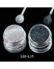 1g holograficzne brokatowe srebrne/czarne laserowe błyszczący brokat proszek pyłu DIY urocze Manicure paznokci dekoracje artysty