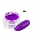 1box fluorescencyjny proszek pigmentowy Nail Art Glitter kolorowe Luminous zanurzenie Neon Flake żel pył DIY polski dekory BEYE0