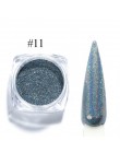 1g kameleon brokat do paznokci zanurzenie holograficzna srebrna róża złoty połysk tarcie do paznokci chrom pyłu DIY Manicure BE1