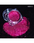 1g holograficzny proszek do paznokci brokat laserowe błyszczące ozdoby do paznokci wystrój Manicure Shining Chrome Pigment poler