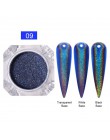 0.3g metaliczne paznokcie brokat lustro w proszku 12 kolorów srebrny Metal efekt srebrny paznokci pył żel UV Pigment Nail Art De