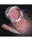 1g paznokci holograficzny laser brokatowy kameleon cekiny dla Nail Art Gradient błyszczący polski Manicure Chrome Pigment pył LA