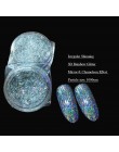 1 sztuk nowy efekt nieregularnego lustra efekt kameleona holograficzne proszki Nail Glitter Rainbow Galaxy Paillette laserowe pł