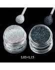1 butelka 3D brokat do paznokci Pigment pył cekiny klejnot UV polski grzywny DIY tipsy dekoracje TRL06