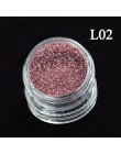 1 butelka 3D brokat do paznokci Pigment pył cekiny klejnot UV polski grzywny DIY tipsy dekoracje TRL06