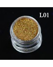 1 butelka 3D brokat do paznokci Pigment pył cekiny klejnot UV polski grzywny DIY tipsy dekoracje TRL06