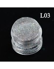 1 butelka 3D brokat do paznokci Pigment pył cekiny klejnot UV polski grzywny DIY tipsy dekoracje TRL06