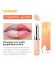 LANBENA Chameleon balsam do ust Rose kwas hialuronowy nawilżający odżywczy wargi Plumper wargi linie naturalny wyciąg makijaż sz
