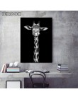 Płótno malowanie zwierzę Wall Art Lion Elephant Deer Zebra plakaty i druki zdjęcia ścienny do dekoracji salonu Home Decor