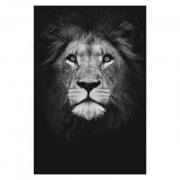 Płótno malowanie zwierzę Wall Art Lion Elephant Deer Zebra plakaty i druki zdjęcia ścienny do dekoracji salonu Home Decor