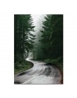 Skandynawski łodzi jezioro plakat na płótnie natura styl skandynawski ściana krajobrazowa drukowany obraz malowidło dekoracyjne 