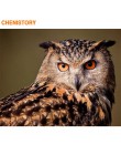 CHENISTORY rama zwierząt ręcznie malowany obrazek według numerów zestaw nowoczesna ściana płótno artystyczne według numerów ręcz