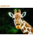 CHENISTORY rama zwierząt ręcznie malowany obrazek według numerów zestaw nowoczesna ściana płótno artystyczne według numerów ręcz