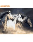 CHENISTORY rama zwierząt ręcznie malowany obrazek według numerów zestaw nowoczesna ściana płótno artystyczne według numerów ręcz