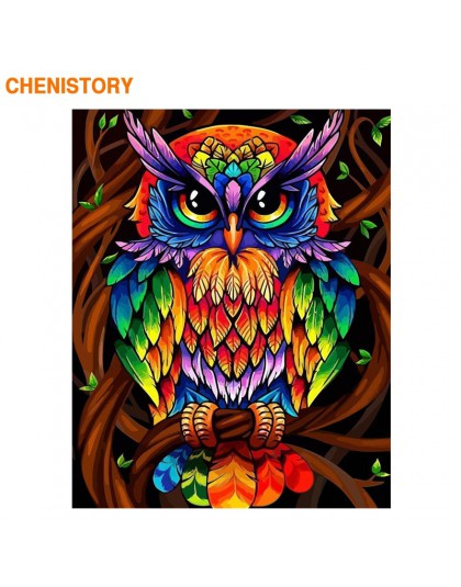 CHENISTORY 60x75cm ramka kolorowa sowa zwierzęta ręcznie malowany obrazek według numerów zestaw Modern Wall Art Picture farba ak