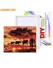 CHENISTORY zachód słońca słonie zwierzęta ręcznie malowany obrazek według numerów Modern Wall Art ręcznie malowany akrylowy obra