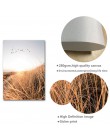 Trawa pole zachód słońca płótno plakat skandynawski natura Wall Art nadruk krajobrazu malowidło dekoracyjne skandynawskie dekora