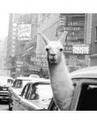Modern Art Alpaca Avatar osobowość plakat Retro obraz na płótnie zdjęcie z nadrukiem dekoracja ścienna do domu można dostosować