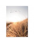 Trawa pole zachód słońca płótno plakat skandynawski natura Wall Art nadruk krajobrazu malowidło dekoracyjne skandynawskie dekora