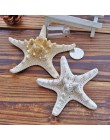 1 sztuk Mini rozgwiazda rzemiosło dekoracji naturalne morze śródziemne gwiazdy DIY plaża domek dla dzieci sypialnia wystrój salo