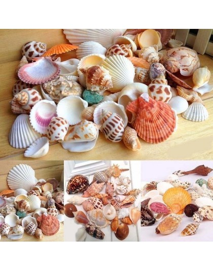 30 sztuk/worek Mix akwarium plaża Nautical DIY muszle mieszane luzem około 100g muszla morze