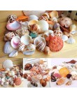 30 sztuk/worek Mix akwarium plaża Nautical DIY muszle mieszane luzem około 100g muszla morze