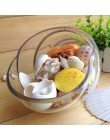30 sztuk/worek Mix akwarium plaża Nautical DIY muszle mieszane luzem około 100g muszla morze