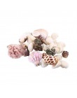 30 sztuk/worek Mix akwarium plaża Nautical DIY muszle mieszane luzem około 100g muszla morze