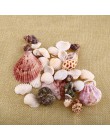 30 sztuk/worek Mix akwarium plaża Nautical DIY muszle mieszane luzem około 100g muszla morze