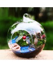 10 sztuk przejrzysta szklana kulka na całym świecie kształt Terrarium okrągły kwiatek wisząca donica Terrarium pojemnik ozdoba o